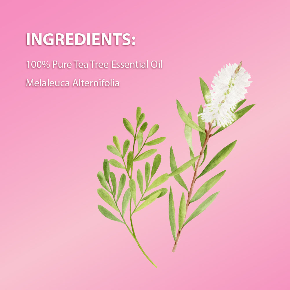 Tea Tree Pure Essential Oil (15ml) (40USD)