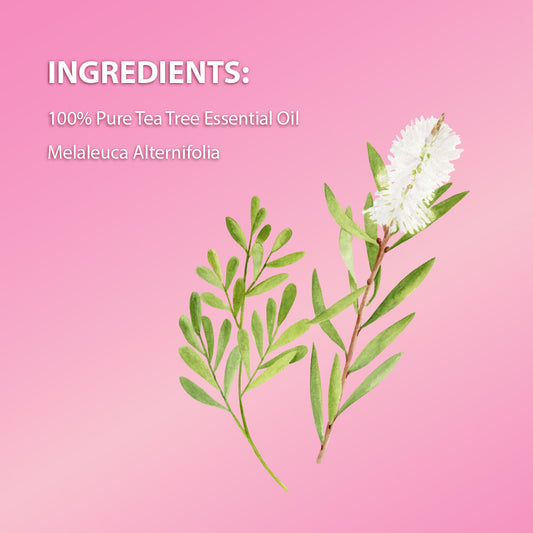 Tea Tree Pure Essential Oil (15ml) (40USD)