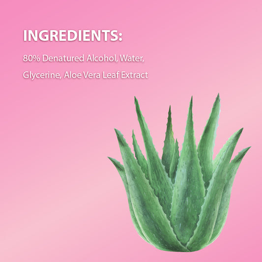 Moisturizing Hand Sanitizer (500ml) (12USD)